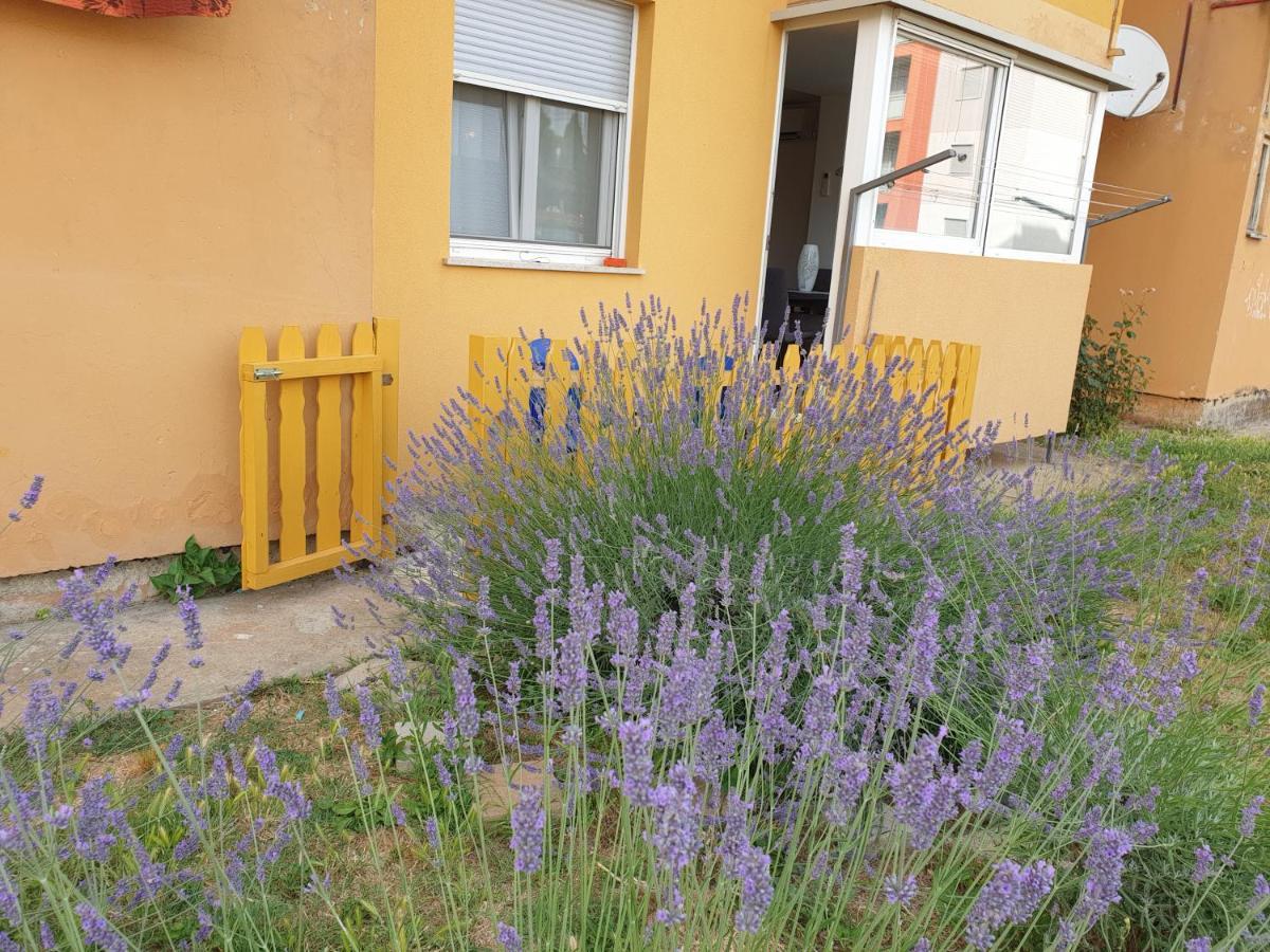 Lav Lägenhet Rovinj Exteriör bild